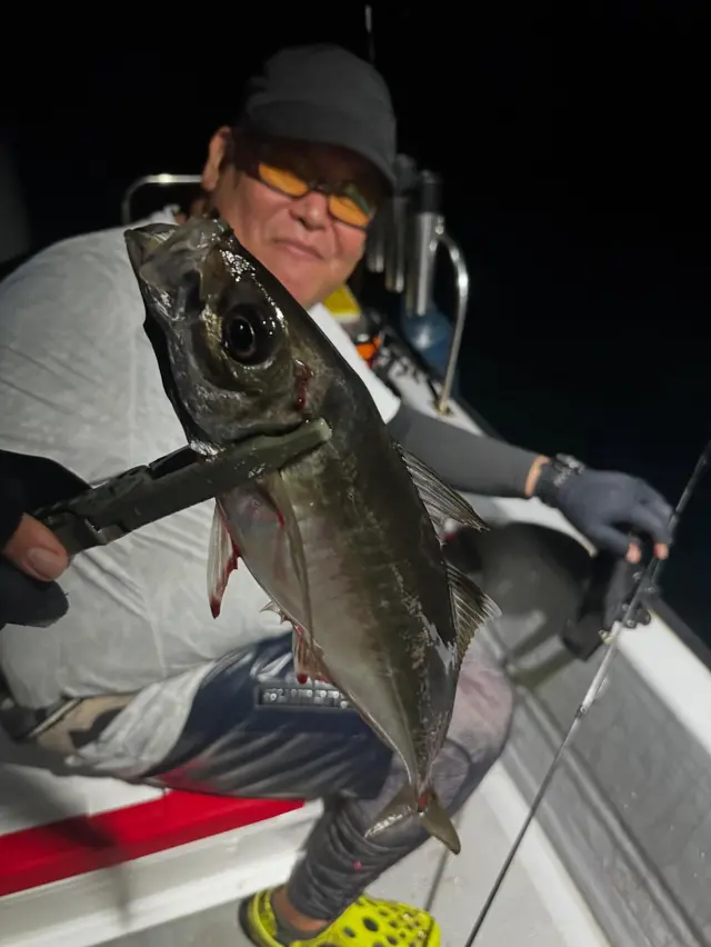 釣り船GORITURI | 石川県、能登の釣りをサポート！